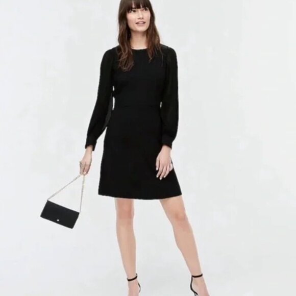 NWT JCrew Pleated Sheer Sleeved Mini Dress Size 4 - Picture 1 of 9